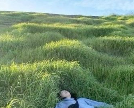 A life in paradise